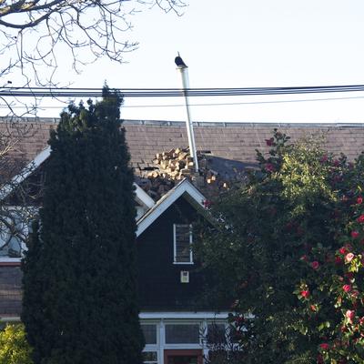 Unfortunately some of these chimneys have fallen on top of the houses and caused further damage.