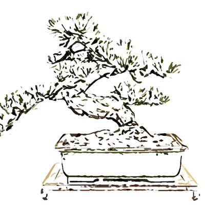 bonsai