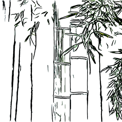 bamboo