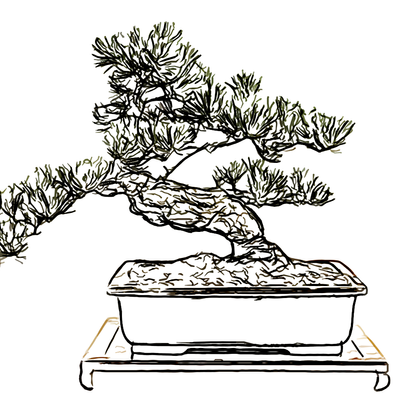 bonsai